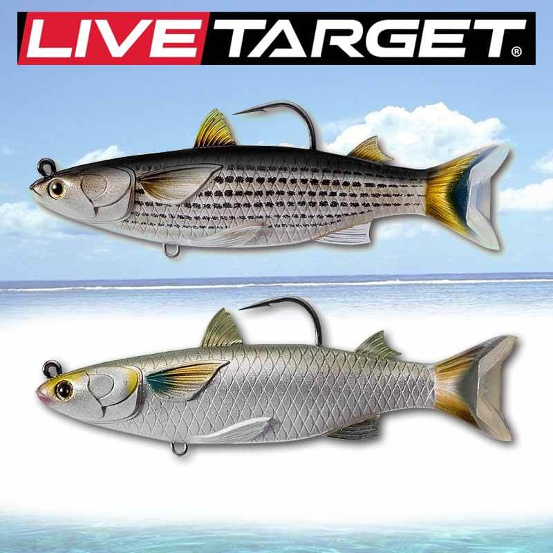 LIVE TARGET MUH135T716 Mullet Hollow Body Lure, Saltwater, 5 3/8 Length,  5/8 oz, Surface Depth, Silver, Per 1, One Size