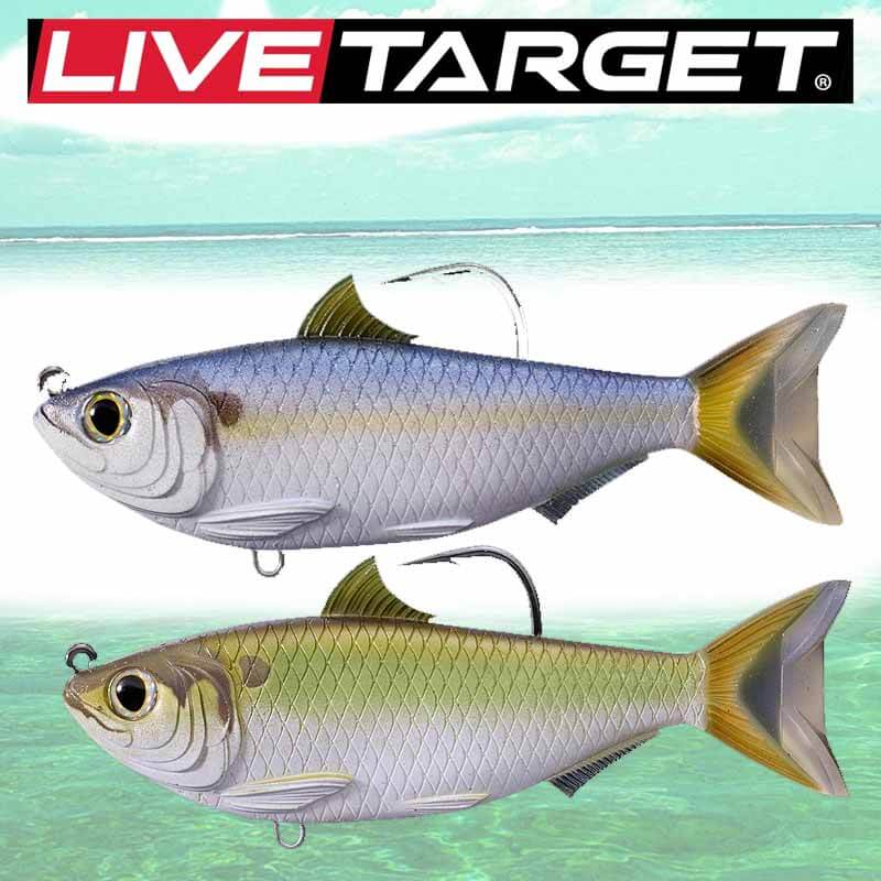 LIVETARGET 4.5in Threadfin Shad Swimbait – Capt. Harry's Fishing Supply