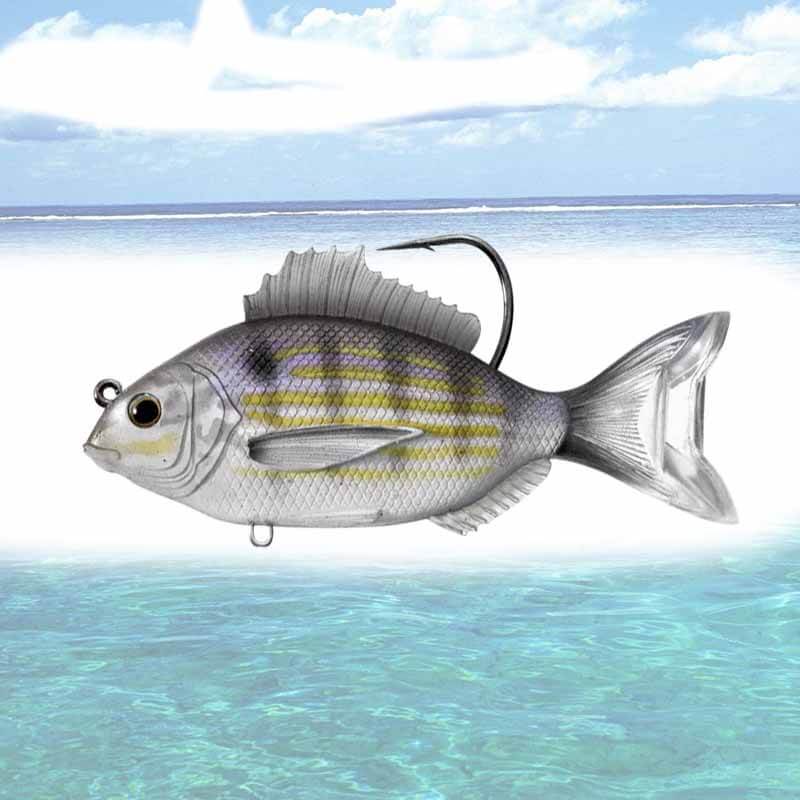 LIVETARGET 3.5in Pinfish Soft Sinking Lure – Capt. Harry's Fishing