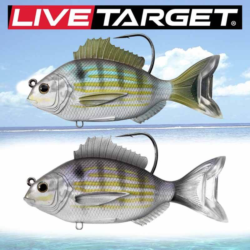 LIVETARGET 4in Pinfish Soft Sinking Lure – Capt. Harry's Fishing Supply