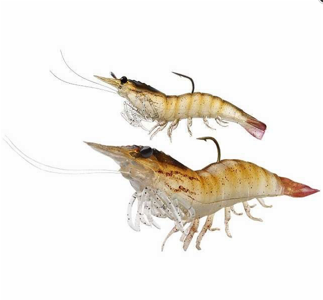 LIVE TARGET's Fleeing Shrimp Soft Plastic Jigs! 