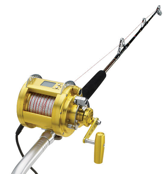 Powerful Electric Fishing Reel EZH5000 Fishing Boat Fishing Reel Saltwater  Ocean Fishing Reel (Color : EZH-3000, Size : Left Hand) : : Sports  & Outdoors