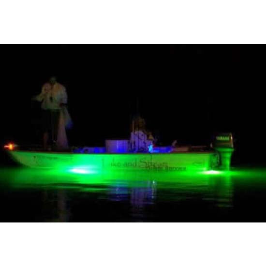  Hydro Glow FFL12 Floating Fish Light with 20' Cord