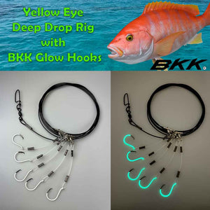 Capt. Harry's Deep Dropping Rigs BKK Glow Hooks