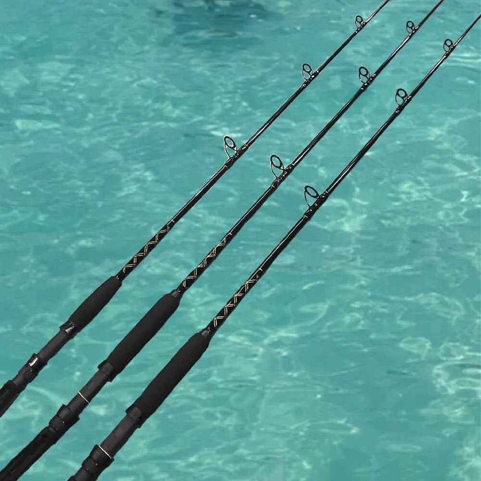 Capt. Harry's Caribbean CS Spinning Rods