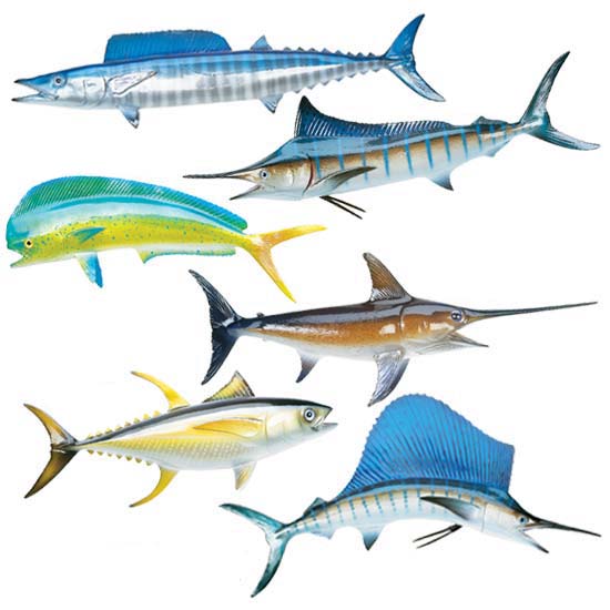 King Sailfish Miniature Fish Mounts