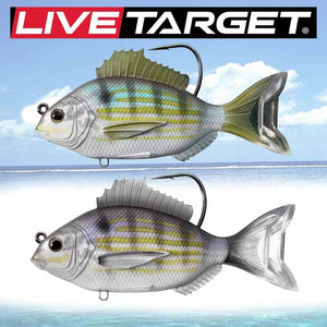Live Target Croaker Swimbait