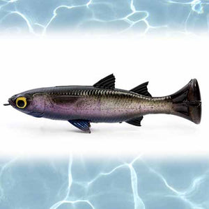 Savage Gear Pulse Tail Mullet Lure 5in – Capt. Harry's Fishing Supply